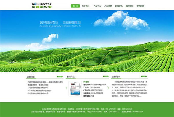 當前國內中小型企業網站的現狀