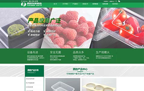 公司網(wǎng)站建設